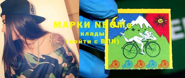 стаф Баксан