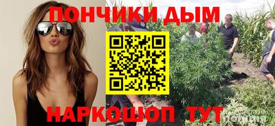 дурь Заводоуковск