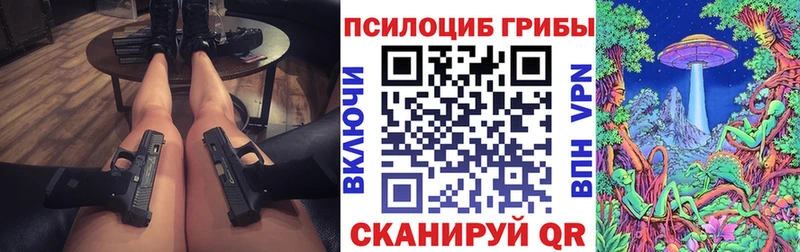 где купить наркотик  Нерюнгри  Псилоцибиновые грибы ЛСД 