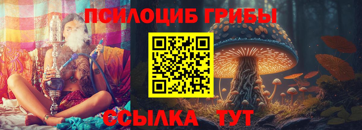 Псилоцибиновые грибы мицелий  Вход с VPN  Псилоцибиновые грибы ЛСД  Нерюнгри 